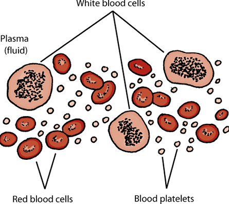 Bleeding Disorder